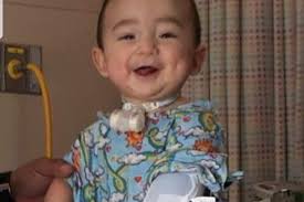 Fundraiser for Claudia VILLACORTA by Shannon Wilkie : TeamGeorge