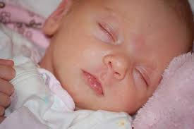 Bulletin 344 January 18, 2009