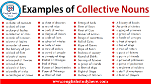 Below are some examples of the most common ones. Http Englishstudyhere Nouns Examples Of Collective Cute766