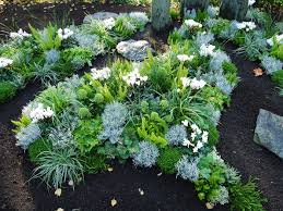 Pin By Vitor On Grabgestaltung Plants Winter Plants Garden Photography