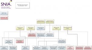 staff organization chart snia