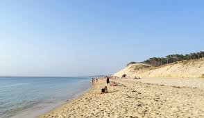 Check spelling or type a new query. Petit Nice Beach The Beaches Of Gironde In Pyla Sur Mer Guide Bordeaux Gironde