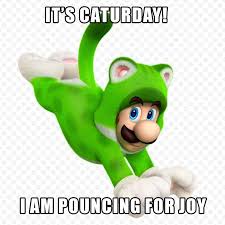Leave a comment cancel reply. Image 643022 Caturday Know Your Meme