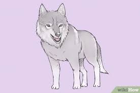 Maybe you would like to learn more about one of these? 4 Cara Untuk Menggambar Serigala Wikihow