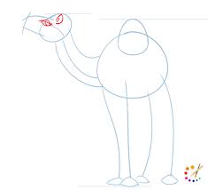 We hope you're going to follow along with us. How To Draw A Camel Step By Step For Kids Beginners