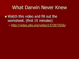 What darwin never knew worksheet answer key. Darwin S Theory Of Evolution Pg Ppt Download
