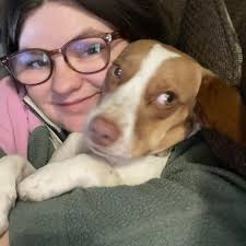 Who can mow my lawn in Blue Springs with a push mower?