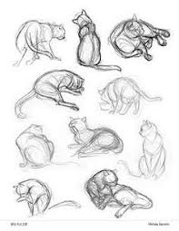 Cat Poses 3d Google Search Cat Drawing Tutorial Cat Sketch Cat Drawing