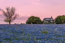 Maybe you would like to learn more about one of these? The Ten Best Spots In Texas To See Bluebonnets In 2021 Jason Weingart Photography
