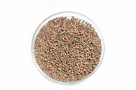 Image result for Sesbania keniensis