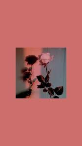 Karena jika lcd hp smartphone rusak, anda sudah tidak mungkin bisa menggunakannya. 18 Best Broken Iphone Screen Ideas Broken Iphone Screen Iphone Screen Aesthetic Wallpapers