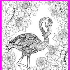 Dominique astorino is a wellness journalist and digital content strategist who previously worke. Easy Adult Coloring Pages Country Chic Cottage