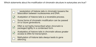 This structure may enlarge, choose, change, or even describe the head. Solved Which Statements About The Modification Of Chromat Chegg Com