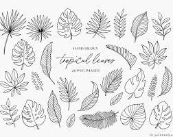 Doodled Leaves Clip Art Png Leaf Digital Stamp Printable Photoshop Brush Cardmaking Clipart Natural Zen Design Nature Foliage In 2021 Drawing Clipart Hand Doodles Clip Art