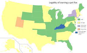 Legality Of Owning A Pet Fox By U S State Maps On The Web