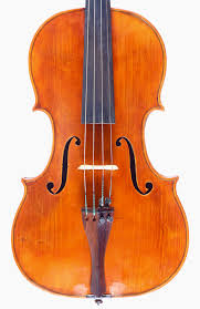 Image result for Viola eminii