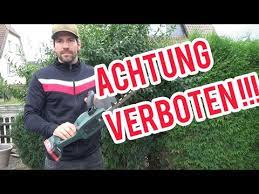 Um die frage zu klären, wann die hecke zu schneiden ist, sollte der hobbygärtner folgend schneiden von alten und kahlen pflanzen. Hecke Schneiden Wann Erlaubt Wann Verboten Hecke Zuruckschneiden Ruckschnitt Youtube