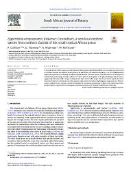 Image result for Zygotritonia