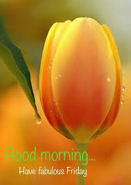 Pin On Gud Morning 1