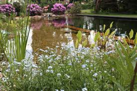 Der parkähnlich angelegte und liebevoll gepflegte garten bietet den zugang zum geräteraum (garage), einem angelegten teich mit bachlauf und fischen, einem blockhaus mit integrierter sauna. Gartner Pflanzarbeiten In Viersen Und Umgebung