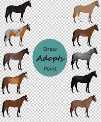 Contrary to popular belief, horses do not have 'backward knees'. Mustang Andalusian Horse Appaloosa Carthusian Arabian Horse Mustang Horse Mare Horse Tack Png Klipartz