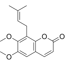 Image result for Zanthoxylum usambarense