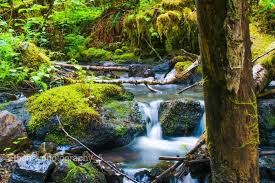 Get menu, reviews, contact, location, phone number, maps and more for vida e caffè restaurant on zomato location fill icon it is an icon with title location fill The Vida Cafe Facebook