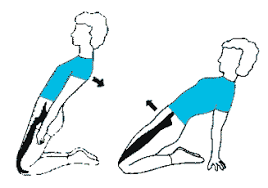 Physical effort mail pro : Detente Verticale 14 Exercices Pour L Explosivite