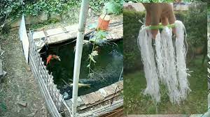 Maybe you would like to learn more about one of these? Diy Spawning Brushes Mops For Koi English Subtitles Youtube