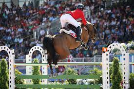 Steve guerdat heeft het overlijden van zijn toppaard albführen's bianca (balou du rouet) bekend gemaakt op sociale media. Bianca Xxxiv Steve Guerdat Schweizer Springreiter Offizielle Website