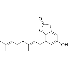 Image result for Lettowianthus stellatus