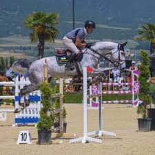 Equitation 15-17 3'3"