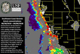 High Concentrations Of Red Tide Found At Clearwater Pass