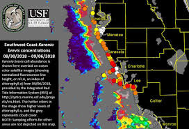 high concentrations of red tide found at clearwater pass