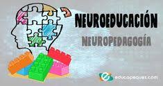 Resultado de imagen para PILARES DE LA NEUROPEDAGÓGIA"