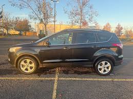 Image result for Kodiak Brown 2013 Escape