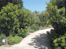 Pacific Horticulture