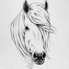How to draw horse head,how to draw horse easy,how to draw horse face,how to draw horse hair,how to draw horse step by step,h. 1