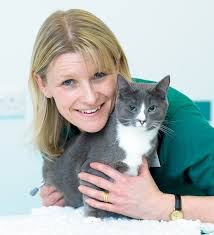 Jennifer coates, veterinary advisor with petmd for male cats, coates says that the benefits of neutering are primarily behavioral, although the procedure does eliminate the possibility that a cat will develop testicular cancer as he ages. Free Cat Neutering In February Avonvale Vets Blog