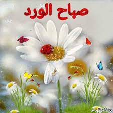 صباح الخير متحركة gif good morning roses beautiful gif free crochet