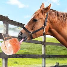 kathson 喜馬拉雅鹽舔鹽適用於馬動物礦物 ...
