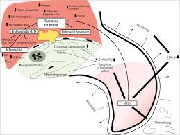 Mitigating the risk of drug hypersensitivity reactions is an important facet of a given pharmaceutical, with poor performance in this area of safety often leading to warnings, restrictions and withdrawals. Ehra Eapci Expert Consensus Statement On Catheter Based Left Atrial Appendage Occlusion An Update Eurointervention
