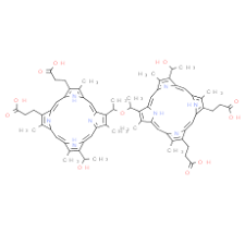 Image result for Porfimer