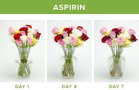 Maybe you would like to learn more about one of these? How To Make Flowers Last Longer 9 Tricks Proflowers