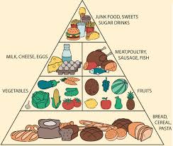 Protein, carbohydrates, and fat are the primary macros. Calculate Macro Nutrients
