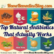 Top 20 Proven Natural Antibiotics That Actually Works Home Remedies Blog Natural Antibiotics Antibiotic Remedies