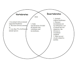 venn diagram vertebrates invertebrates kozen