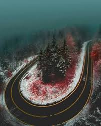 Black Blood Of The Earth Big Trouble Forest Of Blood In Ireland Travel Country Roads Travel Abroad
