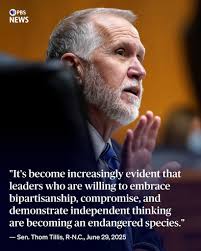 Tillis' Chances of Winning North Carolina Senate Race