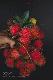 Fresh Rambutan Fruits On My Hand Thai Thu Ho Chi Minh City Viet Nam Iphone 7 Food Photo Delicious Fruit Photography Fruit Fresh